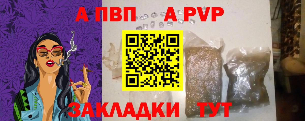 A PVP СК КРИС Элиста