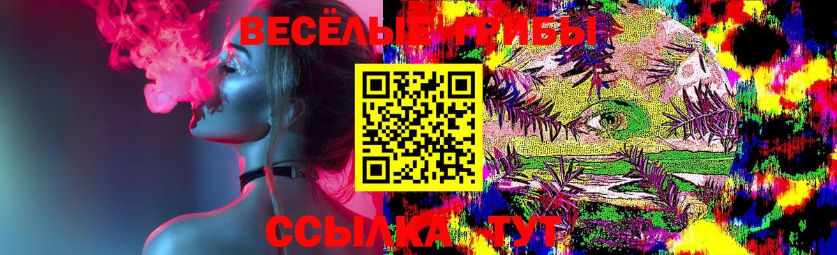 Псилоцибиновые грибы GOLDEN TEACHER  Вход с VPN  Псилоцибиновые грибы MAGIC MUSHROOMS  Элиста 